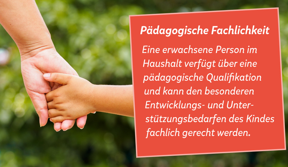 Kind und Frau halten sich die Hand, daneben der Text: P&auml;dagogische Fachlichkeit, Eine erwachsene Person im Haushalt verf&uuml;gt &uuml;ber eine p&auml;dagogische Qualifikation und kann den besonderen Entwicklungs- und Unterst&uuml;tzungsbedarfen des Kindes fachlich gerecht werden. 