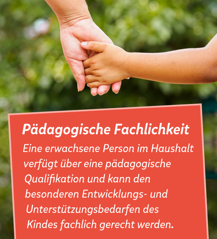 Kind und Frau halten sich die Hand, daneben der Text: P&auml;dagogische Fachlichkeit, Eine erwachsene Person im Haushalt verf&uuml;gt &uuml;ber eine p&auml;dagogische Qualifikation und kann den besonderen Entwicklungs- und Unterst&uuml;tzungsbedarfen des Kindes fachlich gerecht werden. 